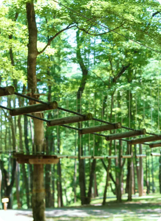 写真：上野村の自然2