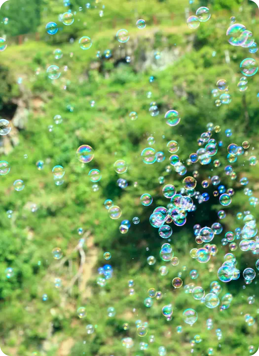 写真：上野村の自然3