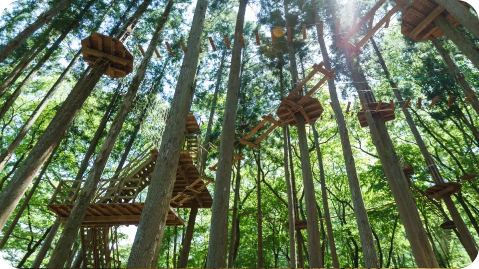 写真：フォレストアドベンチャー・上野